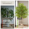 tectake® Künstlicher Ficusbaum Fida verschiedene Größen Produktbild-Vorschau 4