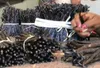 Bastoncini di bourbon alla vaniglia 5pz freschi lunghi Anteprima dell’immagine prodotto 11