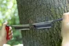 A person's hands are using a tool to cut into a tree trunk. Podgląd zdjęcia produktu