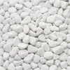 Thassos Zierkies 1–2 cm 5 kg – Weißer Marmorstein aus Produktbild-Vorschau 1