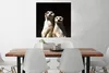 MuchoWow® Poster Schwarz - Erdmännchen - Tiere 75x75 cm - Produktbild-Vorschau 2