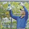 Makita DUP181Z Akku-Astschere 18V LXT – Solo-Gerät ohne Produktbild-Vorschau 11