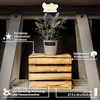 A decorative wooden crate with a potted plant on top, displayed on a shelf. Produktbild-Vorschau