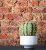 NEWROOM Tapete Brik Rot Papiertapete - Modern Mauer Stein  Produktbild-Vorschau 3
