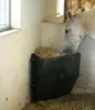 A horse eating hay from a feeder in a stable. Produktbild-Vorschau