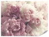 Fototapeta z netkané textilie FLOWERS peonies nature 3D br. Náhled obrázku produktu 2