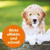 Ardap Anti-vlooien shampoo voor honden, 250 ml Productafbeelding-voorbeeld 3