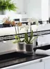 Kulturtopf für Orchideen tranparent Ø 12,00 cm H 11,50 cm Produktbild-Vorschau 4