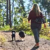 Non-stop dogwear Belt Bag schwarz/grau Produktbild-Vorschau 11