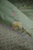 Pip Studio Perkal-Bettwäsche-Garnitur Bustani Farbe Grün Produktbild-Vorschau 8