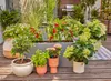 Gardena Micro-Drip-System Set Terrasse (30 Pflanzen) Produktbild-Vorschau 12