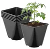 Garronda, lot de 5 pots en plastique de forme carrée aux Voir les images du produit 1