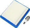 Luftfilter und Zündkerze für Rasenmäher mit Briggs & Produktbild-Vorschau 1