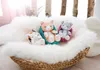 Nici 48085 Sleeping Kitties Katze 12cm, creme, im rot Voir les images du produit 6
