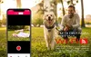 Caméra d'action COOAU 4K 20 MP avec Wi-Fi, étanche jusqu'à Voir les images du produit 7