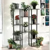 A multi-tiered plant stand with various potted plants displayed on its shelves, set against a white wall. Podgląd zdjęcia produktu
