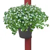 Regenrohr-Pflanztopf schwarz Blumentopf für Fallrohr Produktbild-Vorschau 2