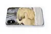 MuchoWow® Handyhülle Schutzhülle Hülle für iPhone X Eisbär Produktbild-Vorschau 5