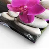 Bild auf Leinwand - Leinwandbild - Orchidee Bambus Produktbild-Vorschau 5
