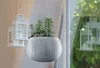 A hanging planter with plants is shown next to a window with a reflection of another planter. Anteprima dell’immagine prodotto