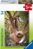 Exotische Tiere. Puzzle 54 Teile Produktbild-Vorschau 5
