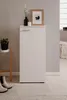 Schuhschrank Satos | weiß | 50 cm x 110 cm x 34 cm Produktbild-Vorschau 11