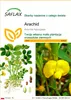SAFLAX - Arachid - 8 Nasiona - Arachis hypogaea Podgląd zdjęcia produktu 1