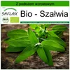SAFLAX - Bio - Szałwia - 60 Nasiona - Z podłożem uprawowym Podgląd zdjęcia produktu 11