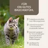 Provicell EM Vital 250 ml | Probiotika Katze | Natürliche Produktbild-Vorschau 2