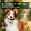 A dog smiling in a natural outdoor setting. Produktbild-Vorschau