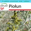 SAFLAX - Zestaw prezentowy - Piołun - 500 Nasiona - Z Podgląd zdjęcia produktu 10