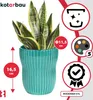 A snake plant in a decorative turquoise pot, with various icons and text indicating product features and dimensions. Voir les images du produit