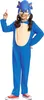 A child wearing a Sonic the Hedgehog costume. Náhled obrázku produktu