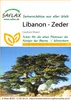 SAFLAX - Liban - Cedr - 20 Nasiona - Cedrus libani Podgląd zdjęcia produktu 11