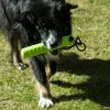A dog is walking on grass while holding a green toy in its mouth. Produktbild-Vorschau