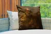 MuchoWow® Outdoor Kissen - Homer - Rembrandt van Rijn - Produktbild-Vorschau 3
