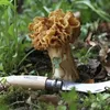 2 couteaux à champignons Opinel 8 cm Voir les images du produit 2