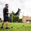 A man is training his dog in an agility course in a park. Voir les images du produit