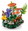 Champignons de forêt Voir les images du produit 10