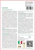 SAFLAX Garden in the bag - Erba Mate - 10 semi - Ilex Anteprima dell’immagine prodotto 3