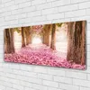 Glasbilder 125x50 Wandbild Druck auf Glas Fußpfad Produktbild-Vorschau 2