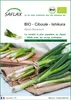 SAFLAX  -- Ciboule - Ishikura - 150 graines - Allium Voir les images du produit 1
