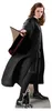 Harry Potter - Hermione Jean Granger - Pappaufsteller Produktbild-Vorschau 1