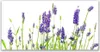 Acrylglasbilder 120x60 Wandbild Druck Blumen Pflanzen Produktbild-Vorschau 1