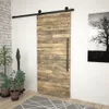 A sliding barn door with a black metal track and handle, set against a white wall with a brick accent on the left and a black and white framed picture of a tree on the right. Several potted plants are placed near the door. Produktbild-Vorschau