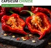 Chili Trinidad Moruga Scorpion Samen - Capsicum chinense - Produktbild-Vorschau 2