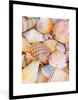 MuchoWow® Gerahmtes Poster Muscheln - Strand - Sommer - Produktbild-Vorschau 1