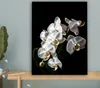 MuchoWow® - Leinwandbilder - Orchidee - Blumen - Weiß - Produktbild-Vorschau 4
