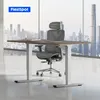 FlexiSpot scrivania elettrica regolabile in altezza 160x80 Anteprima dell’immagine prodotto 2