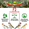 Re del Canto, F2 Carduelids – 1 Packung mit 3 kg – Mischung Produktbild-Vorschau 2